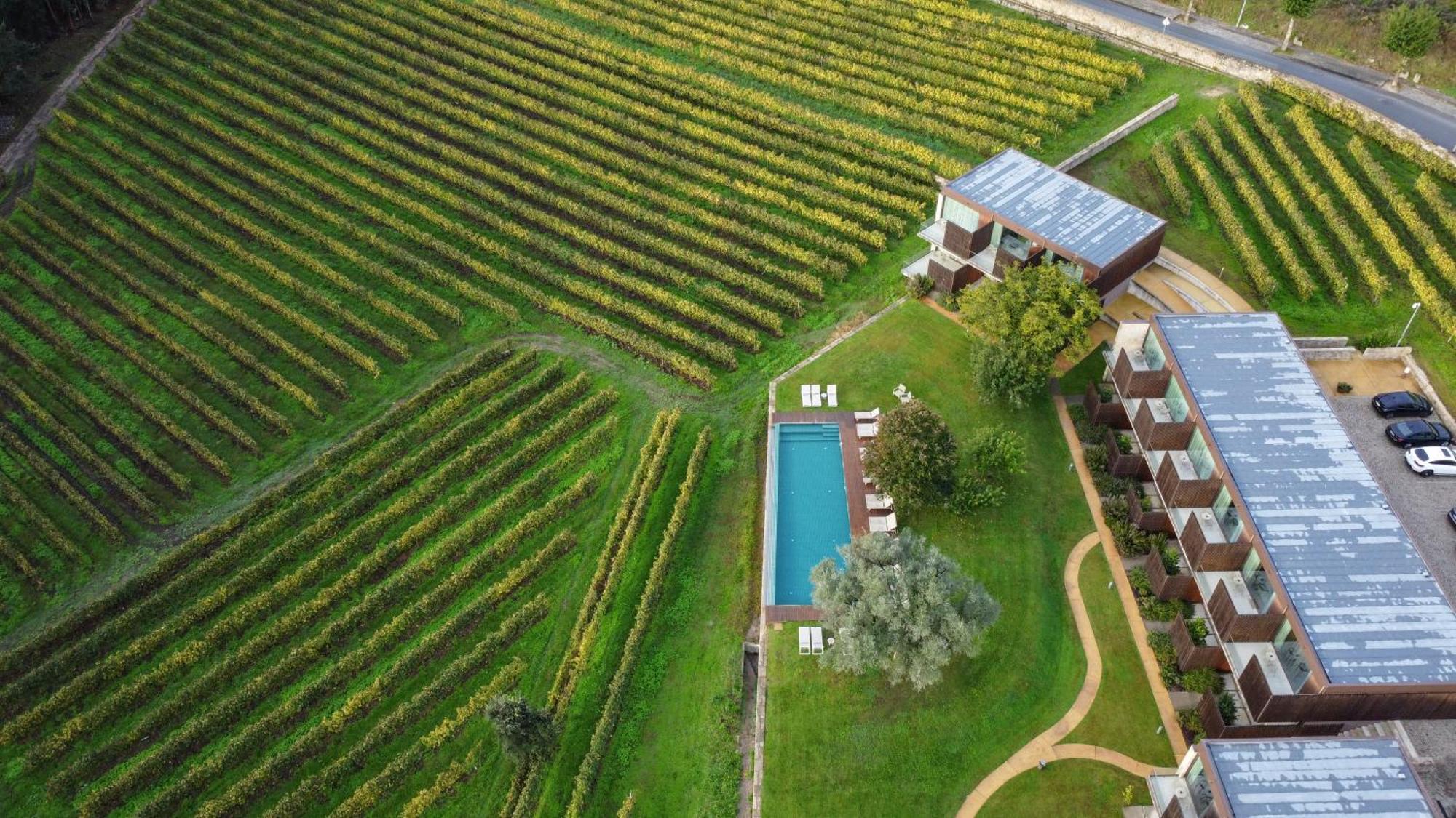 Torre De Gomariz Wine & Spa Hotel Cervães Exteriör bild